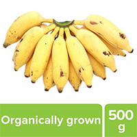 Fresho Banana - Yelakki, Organically Grown